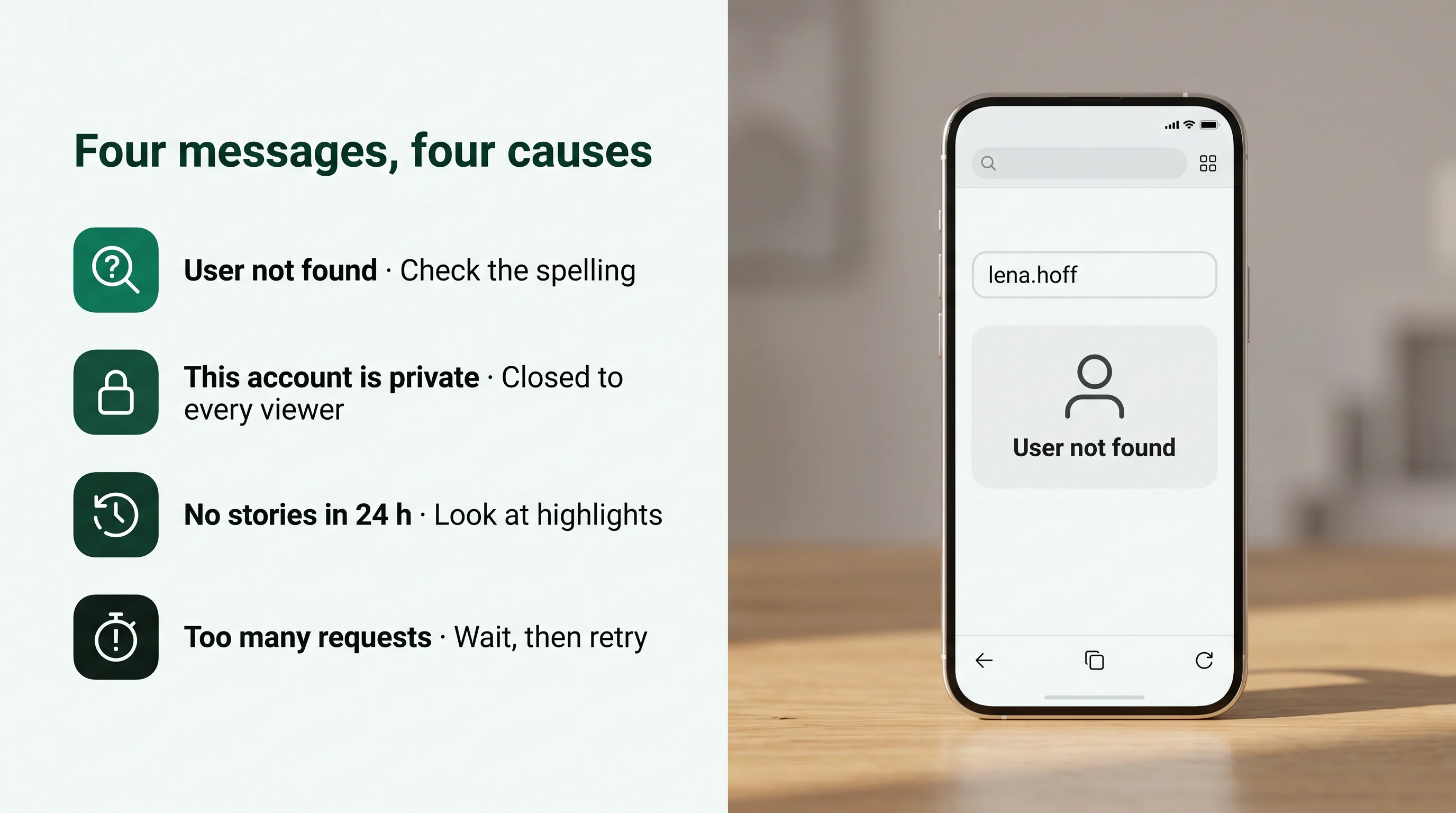 Four messages, four causes: User not found, check the spelling; This account is private, closed to every viewer; No stories in 24 h, look at highlights; Too many requests, wait, then retry