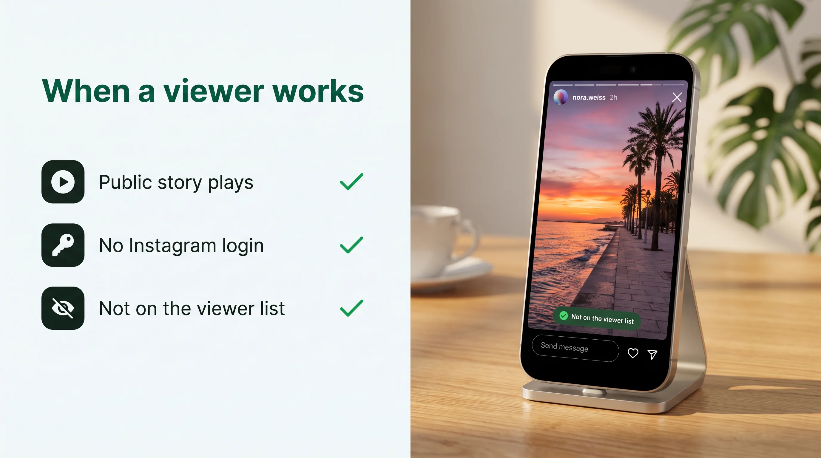 When a viewer works: public story plays, no Instagram login, not on the viewer list