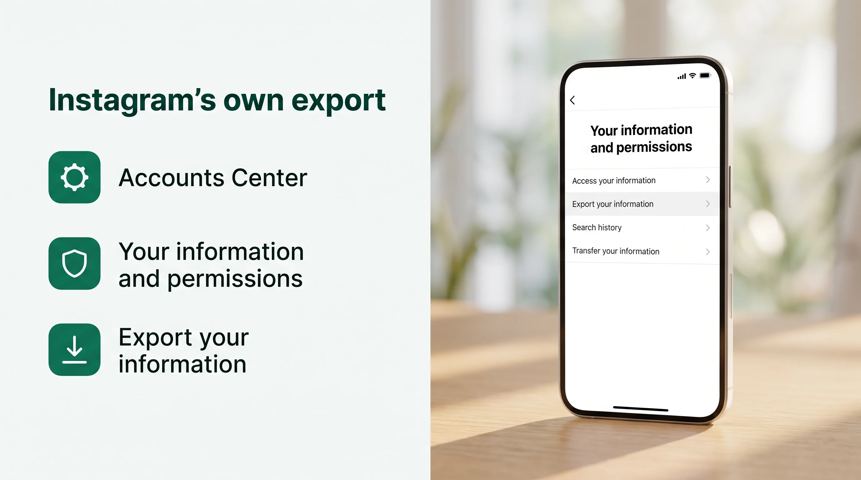 Instagram's own export: Accounts Center, Your information and permissions, Export your information